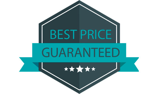 Best Hosting Price