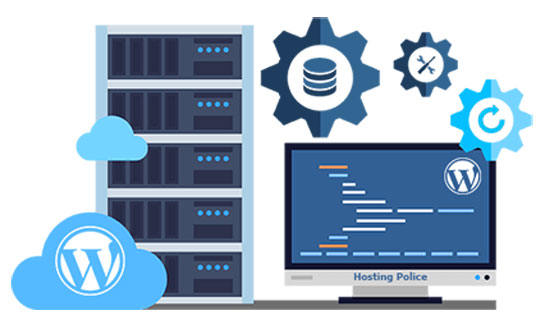 Reliable Web Hosting